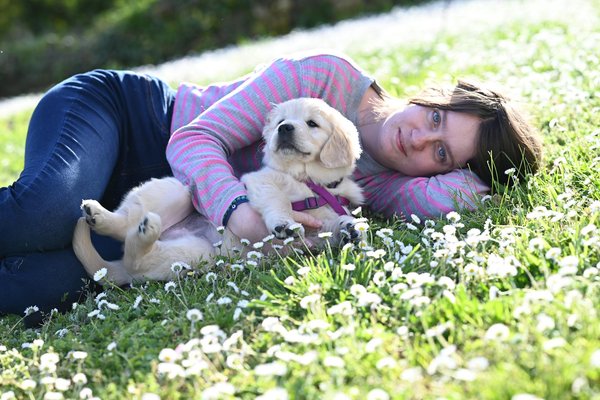 La nourriture sous prescription vétérinaire pour les chiens souffrants