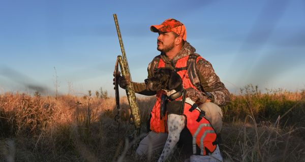 Comment préparer son chien de chasse à une compétition