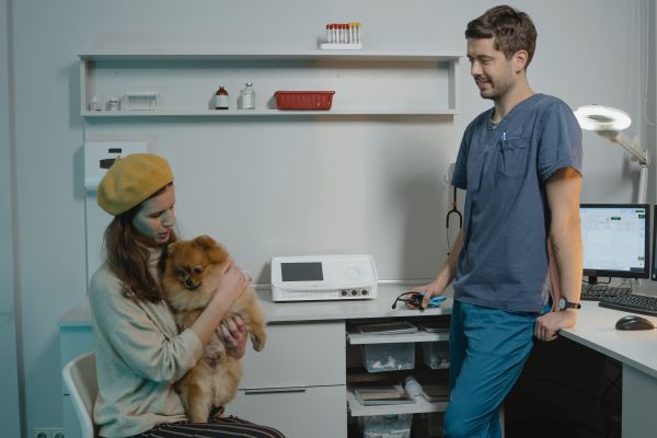 Le rôle du vétérinaire dans la détection et le traitement des parasites du chien
