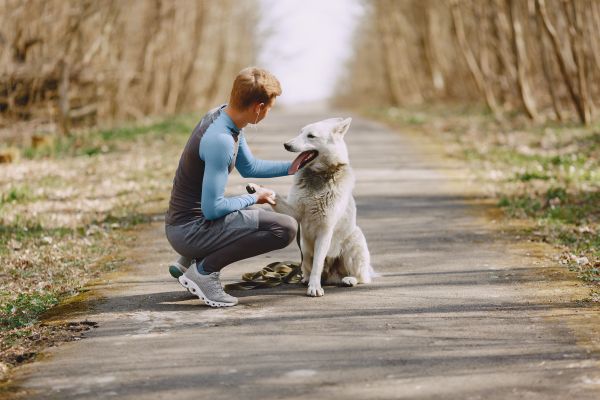 Pratiquer le sport avec votre chien pour renforcer votre lien