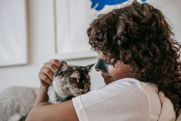 Vivre avec un chat malgré l'allergie : est-ce possible ?